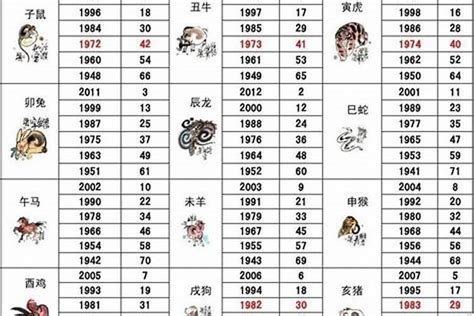 97年什么命|97年属什么 97年属什么命